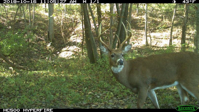 2018-10-16 11-05-27 m 1 1