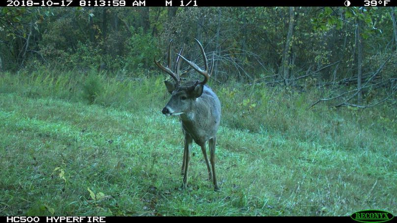 2018-10-17 08-13-59 m 1 1