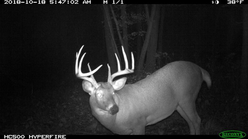 2018-10-18 05-47-02 m 1 1