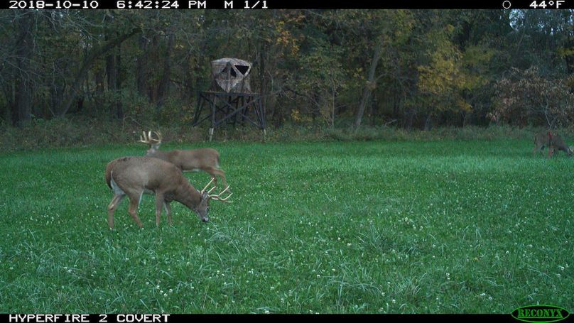 2018-10-10 18-42-24 m 1 1