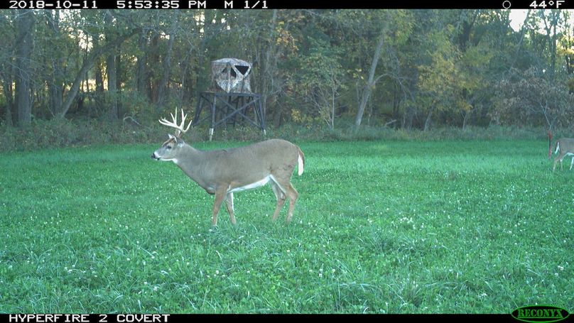 2018-10-11 17-53-35 m 1 1