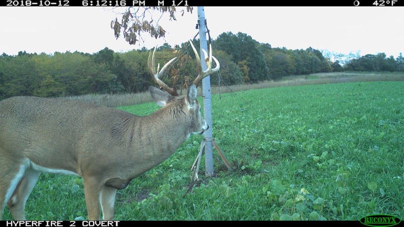 2018-10-12 18-12-16 m 1 1