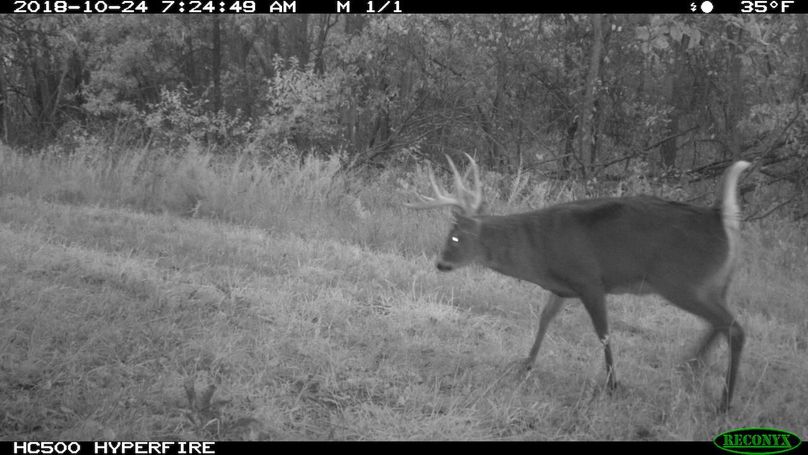 2018-10-24 07-24-49 m 1 1