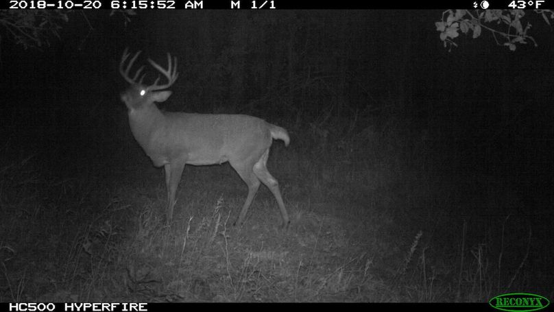 2018-10-20 06-15-52 m 1 1