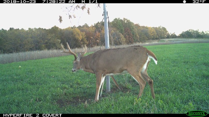 2018-10-23 07-28-22 m 1 1