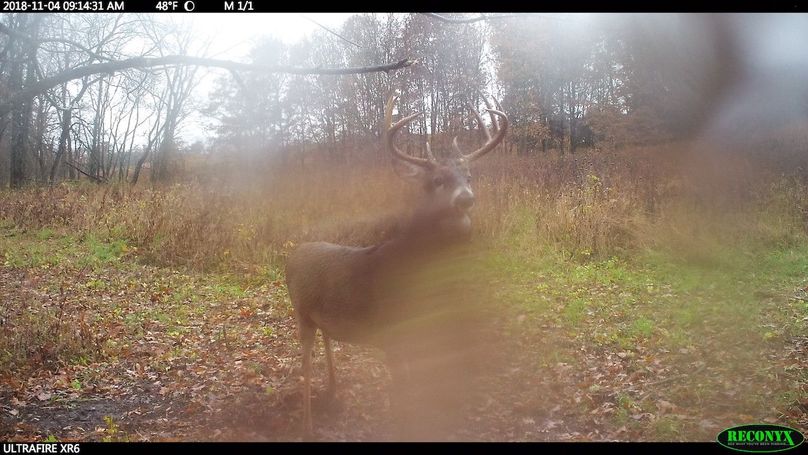 2018-11-04 09-14-31 m 1 1 1