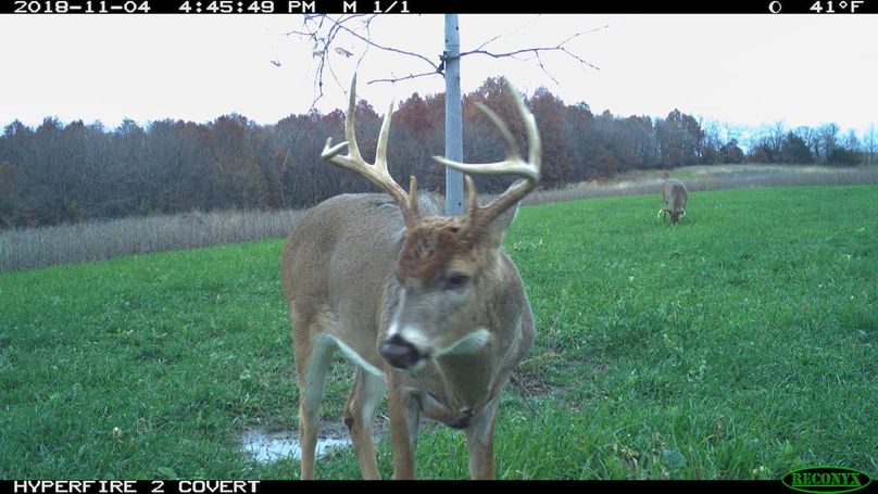 2018-11-04 16-45-49 m 1 1