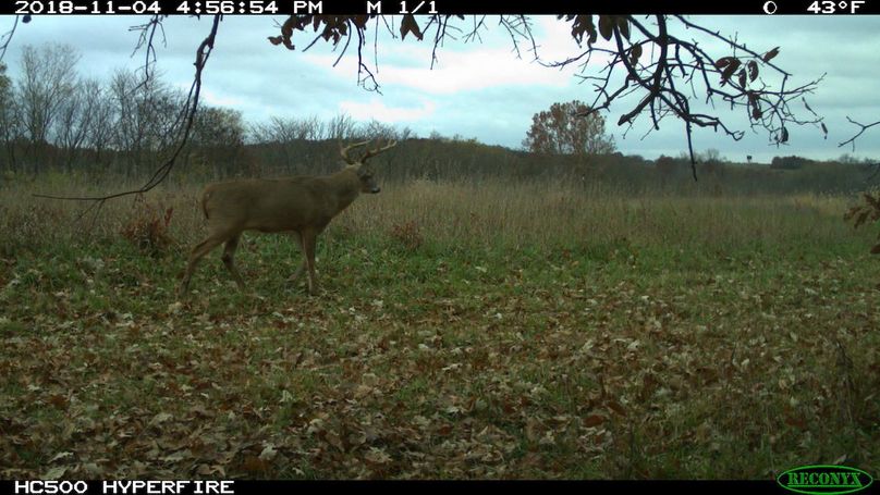 2018-11-04 16-56-54 m 1 1