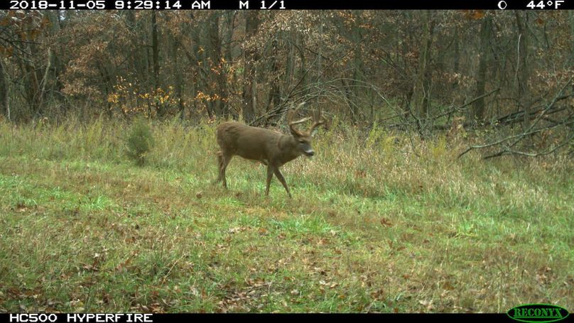 2018-11-05 09-29-14 m 1 1