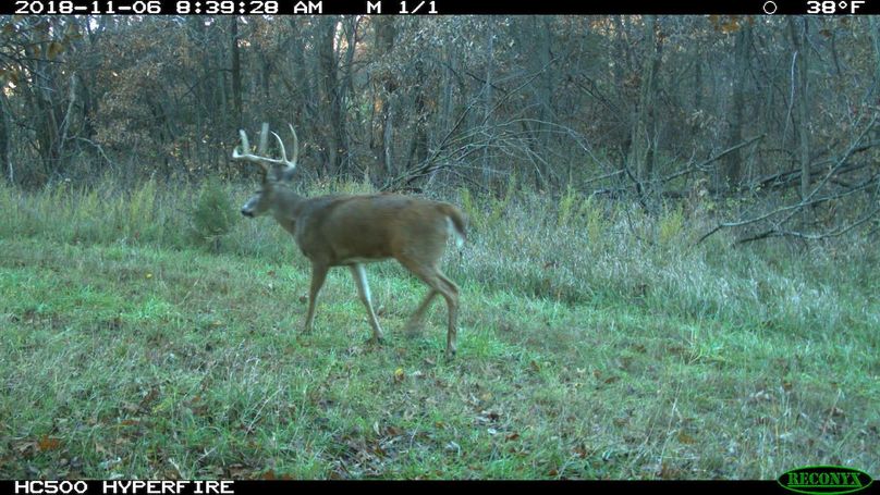 2018-11-06 08-39-28 m 1 1