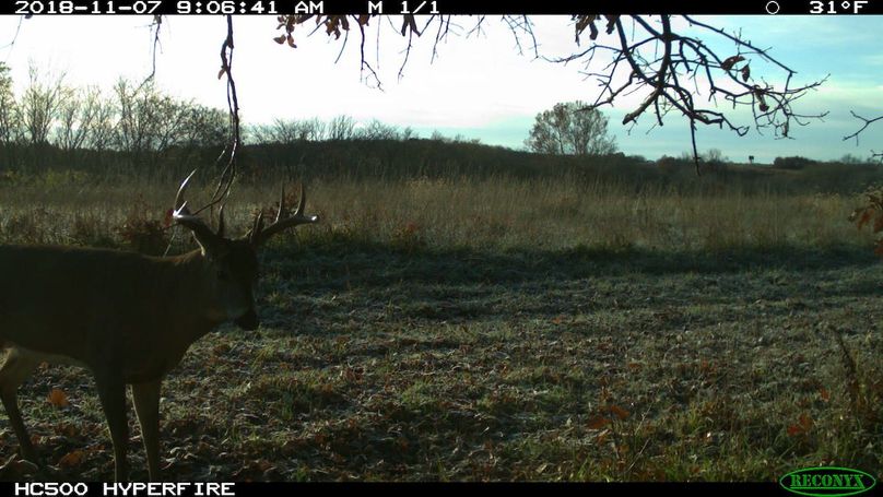 2018-11-07 09-06-41 m 1 1