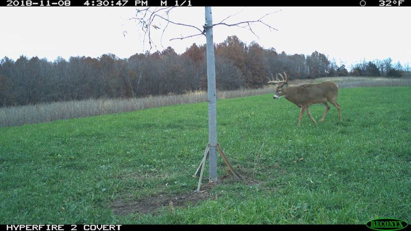 2018-11-08 16-30-47 m 1 1