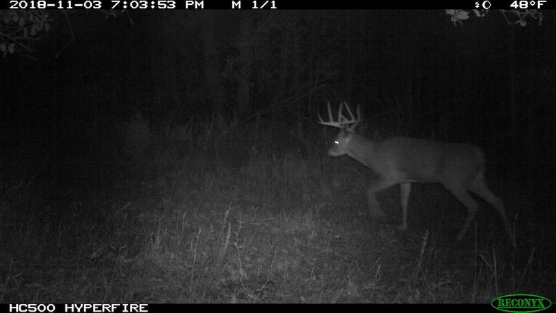 2018-11-03 19-03-53 m 1 1