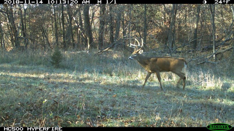 2018-11-14 10-13-20 m 1 1