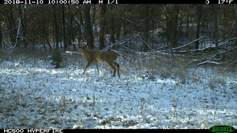 2018-11-10 10-00-50 m 1 1