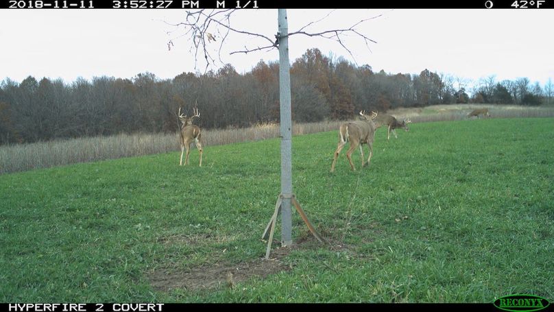 2018-11-11 15-52-27 m 1 1