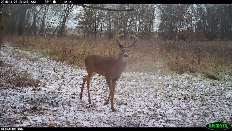 2018-11-25 10-12-51 m 1 1