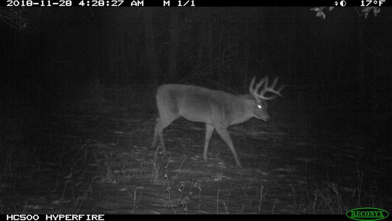 2018-11-28 04-28-27 m 1 1