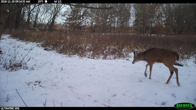 2018-11-20 09-14-35 m 1 1