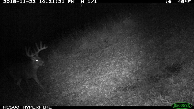 2018-11-22 22-21-21 m 1 1