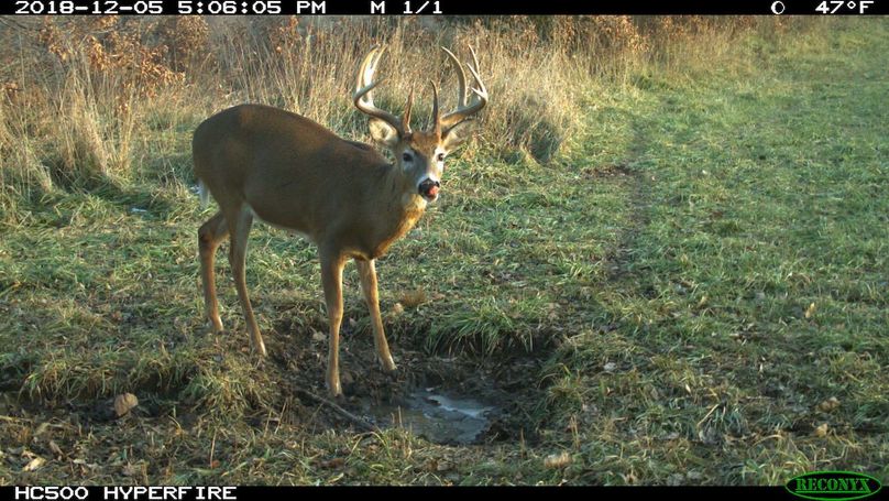 2018-12-05 17-06-05 m 1 1