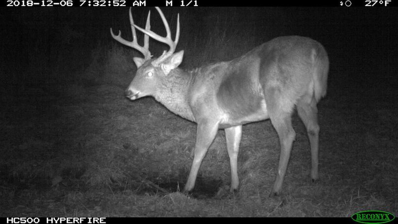 2018-12-06 07-32-52 m 1 1