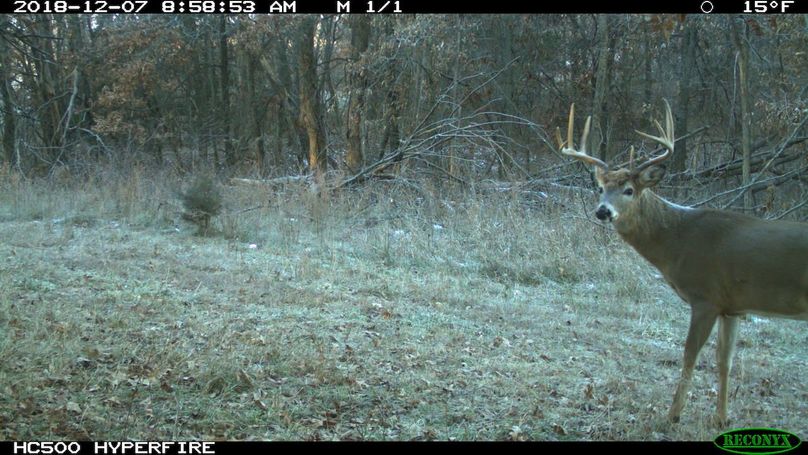 2018-12-07 08-58-53 m 1 1