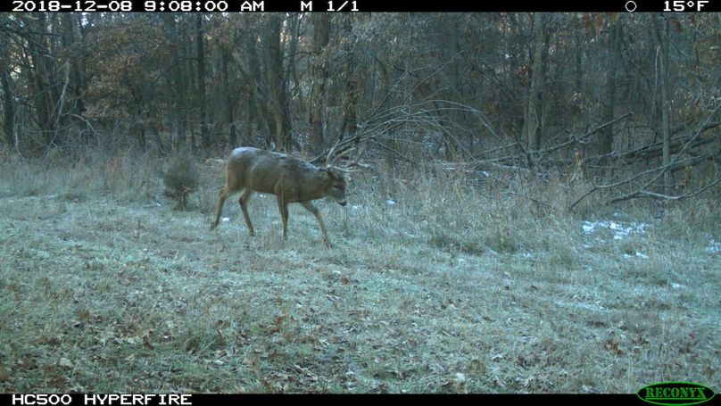 2018-12-08 09-08-00 m 1 1