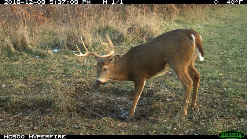 2018-12-09 17-37-09 m 1 1