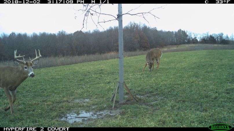 2018-12-02 15-17-09 m 1 1