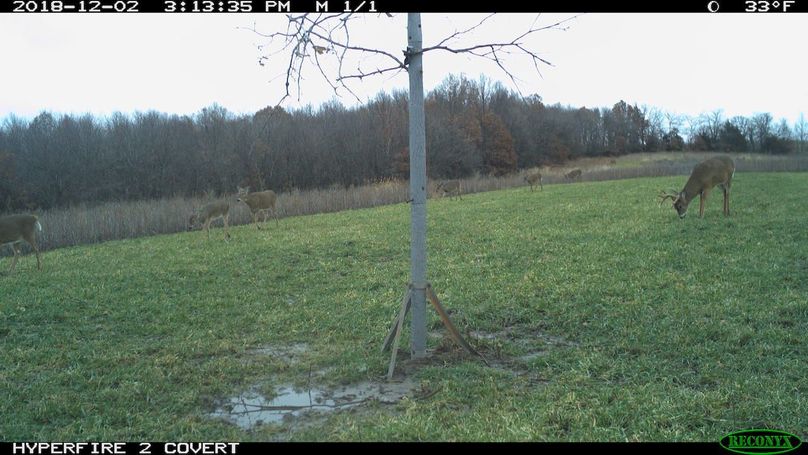 2018-12-02 15-13-35 m 1 1