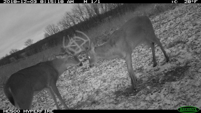 2018-12-03 08-15-18 m 1 1