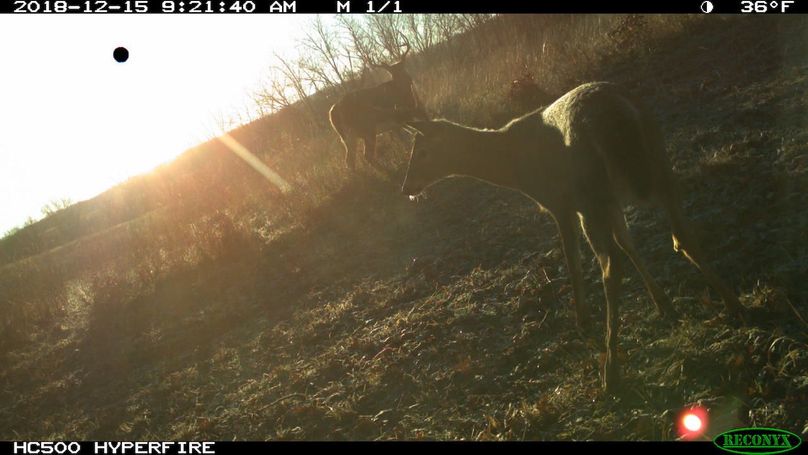 2018-12-15 09-21-40 m 1 1