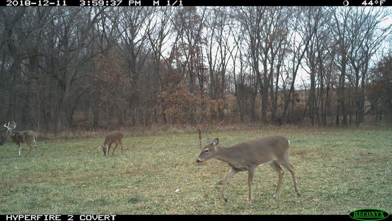 2018-12-11 15-59-37 m 1 1