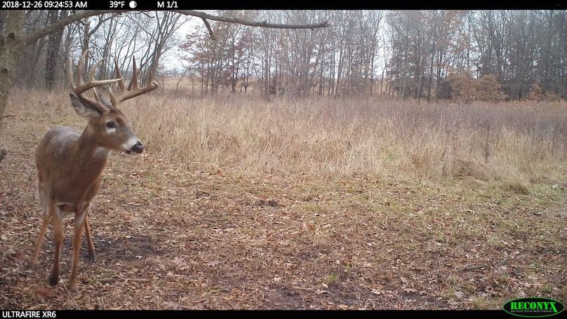 2018-12-26 09-24-53 m 1 1