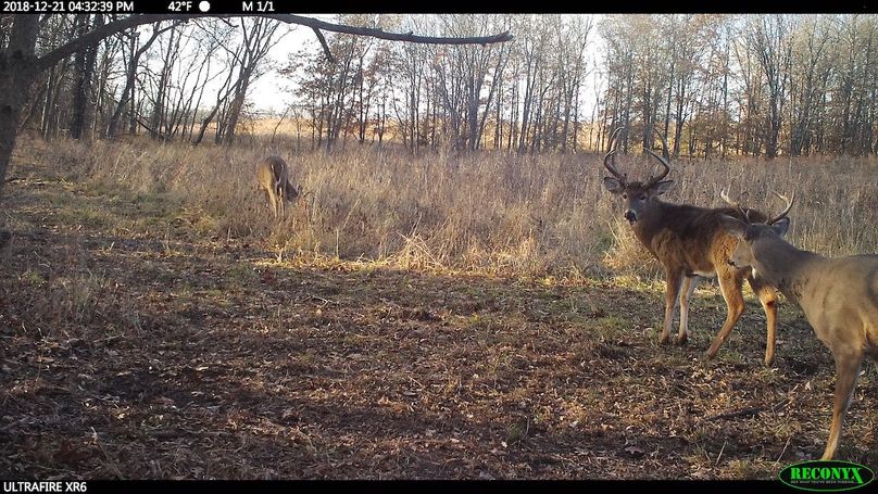 2018-12-21 16-32-39 m 1 1