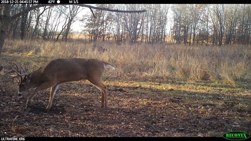 2018-12-21 16-45-57 m 1 1