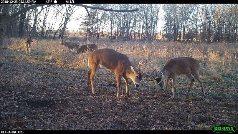 2018-12-23 17-14-59 m 1 1