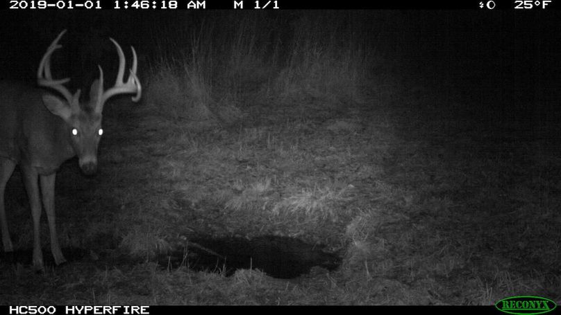 2019-01-01 01-46-18 m 1 1