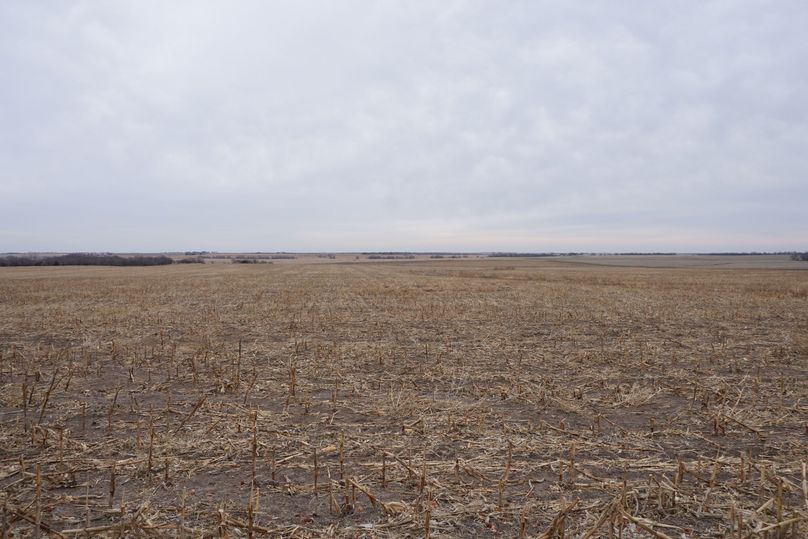 Looking east towards jayhawk rd.
