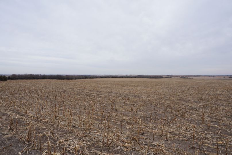 Timbered fence row between tillable and pasture
