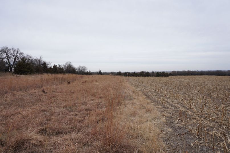West property line looking north
