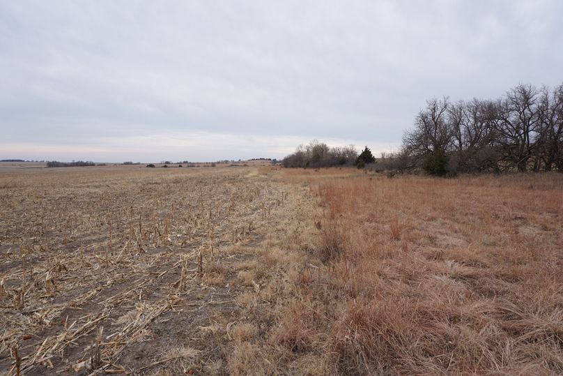 West property line looking south