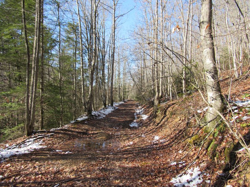 13. trail system