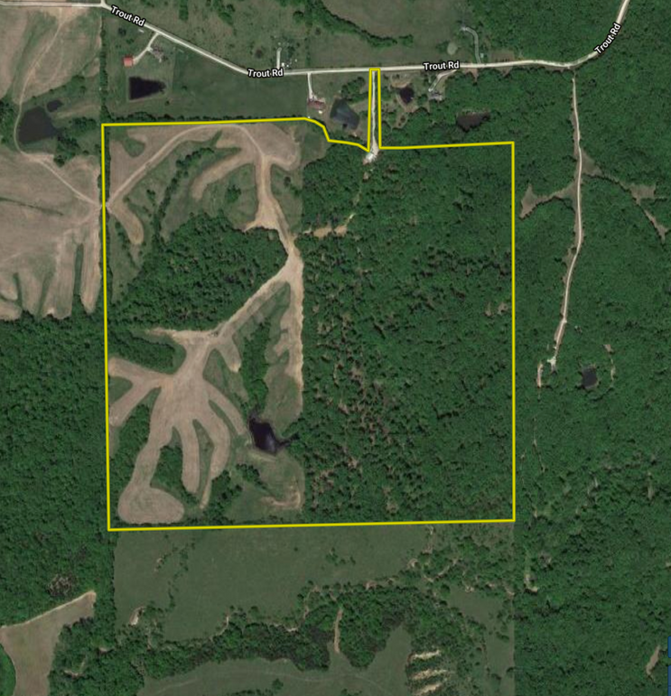 Screen shot 2019-12-12 at 9.14.10 am