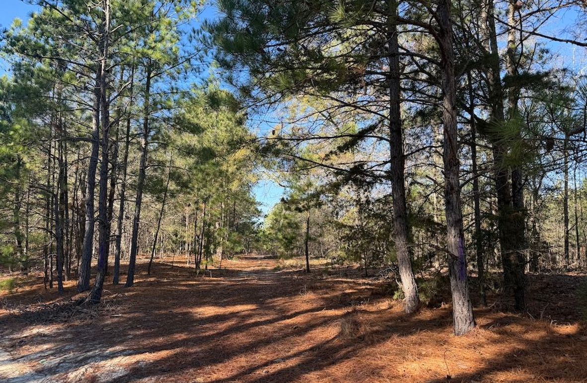 2 - perimeter entrance