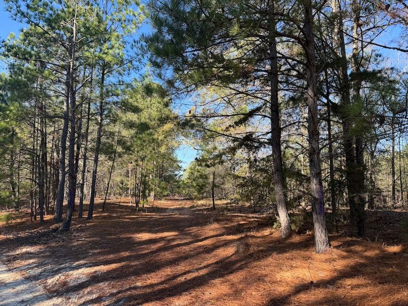 2 - perimeter entrance