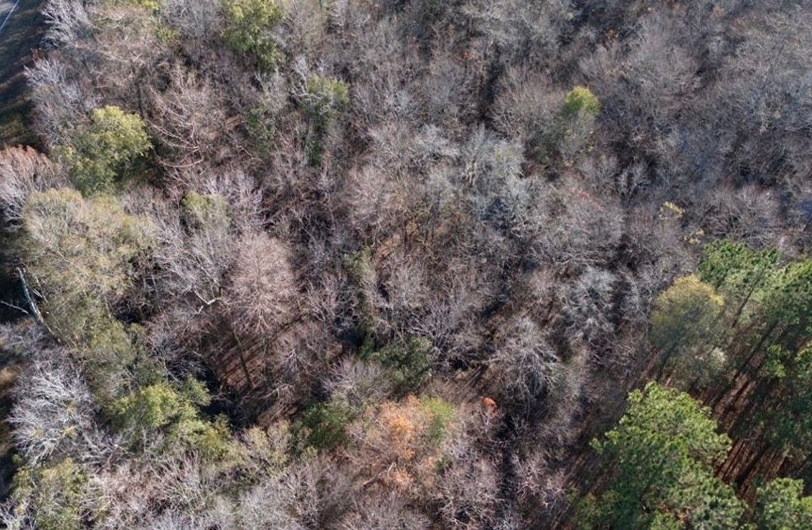 DJI_20251209144739_0003_D