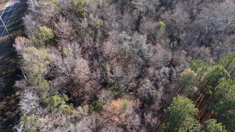 DJI_20251209144739_0003_D