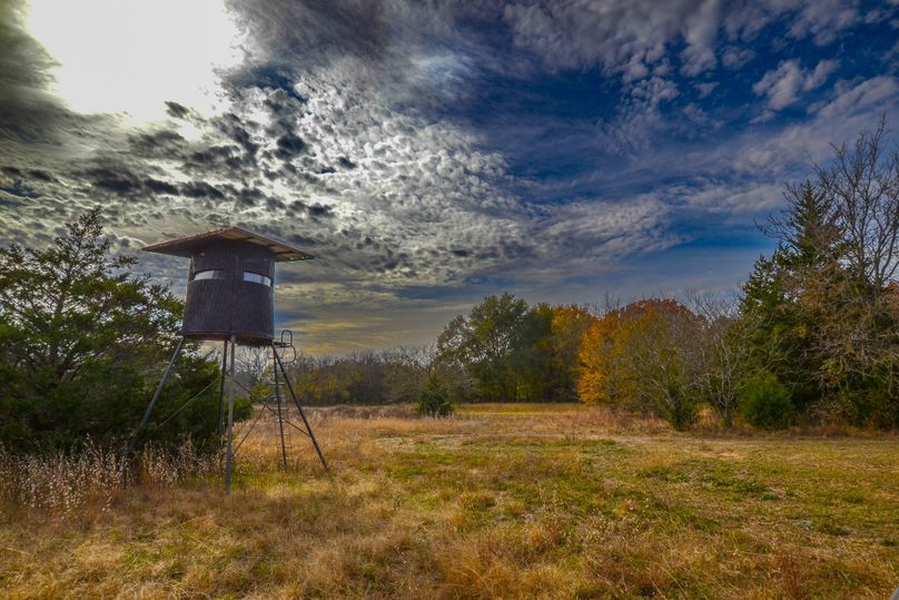 Hunting And Recreation Hideaway In East Texas Whitetail Properties